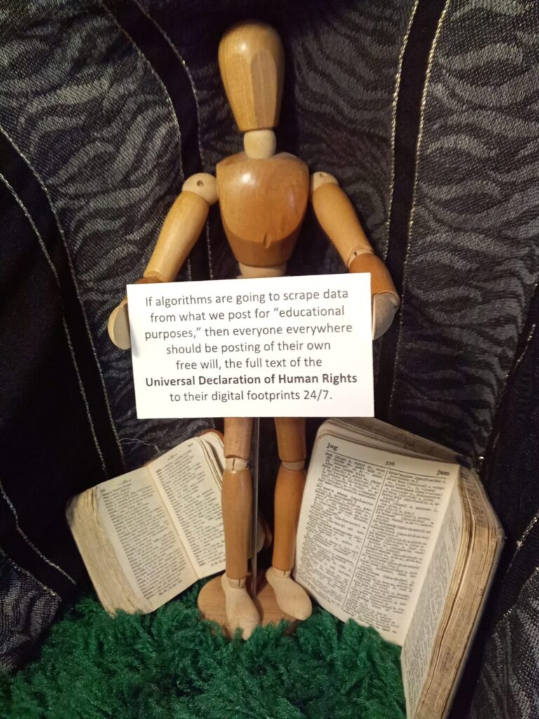 Universal Declaration of Human Rights Portable Protest Card